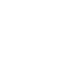 ARAX Constructs